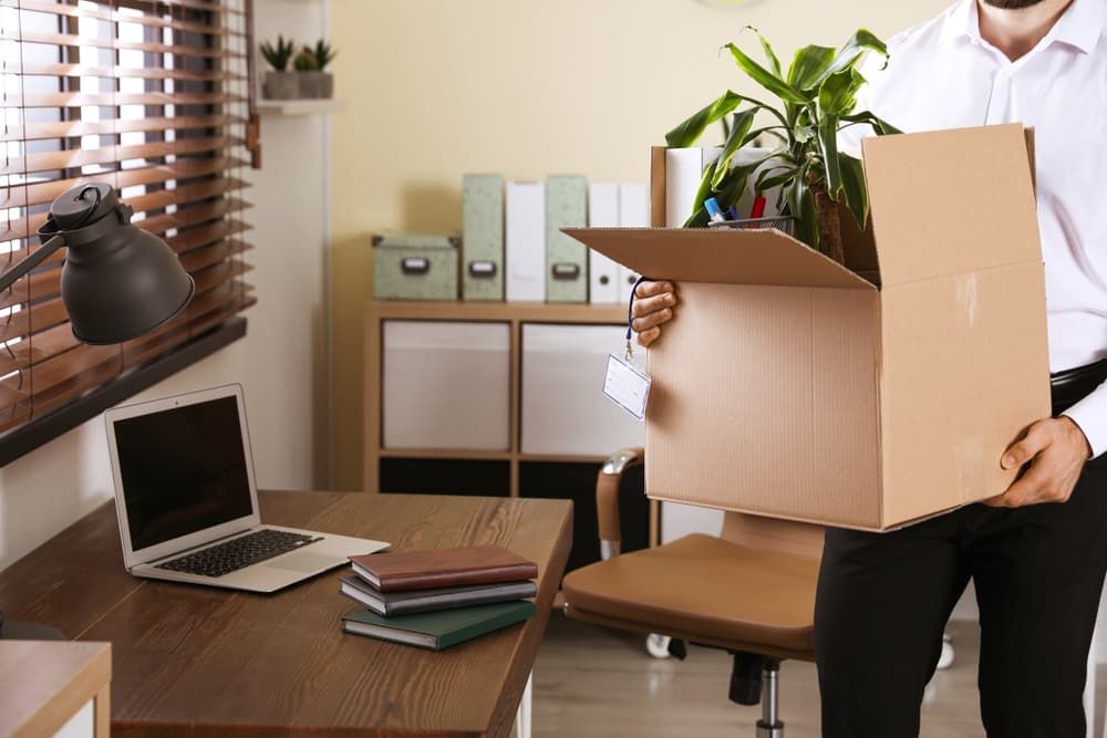 Office Indoor Plant for Transport — Town & Country Removals In Laurieton, NSW