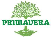 Logo con albero verde e la scritta “PRIMAVERA” in grassetto sotto.