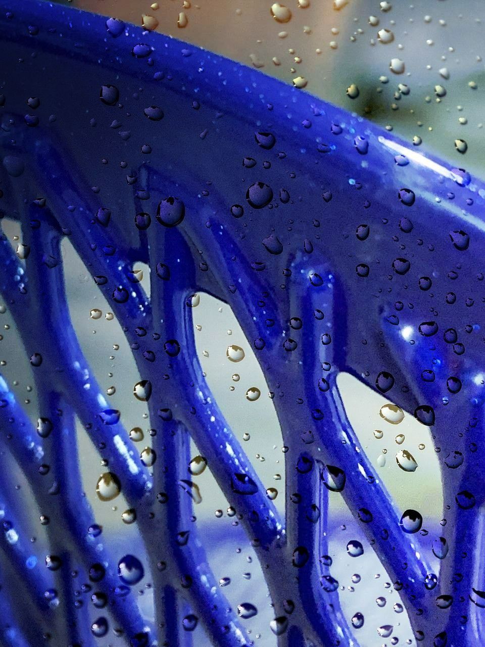 Close-up of a blue plastic basket with water droplets, likely outdoors.