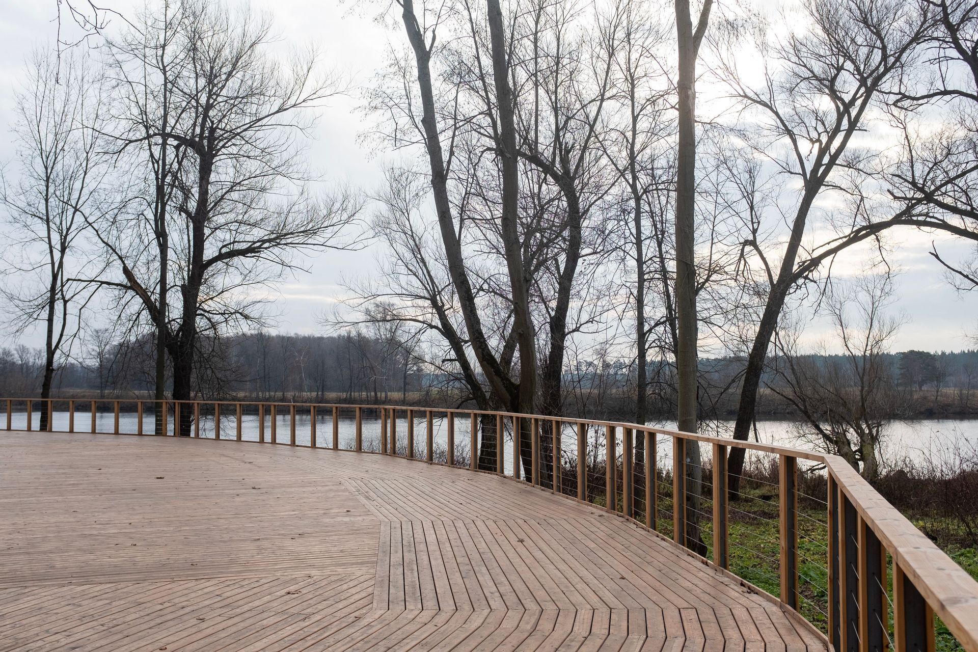 Curved wooden boardwalk beside a calm lake, bordered by bare trees and a railing at sunset.