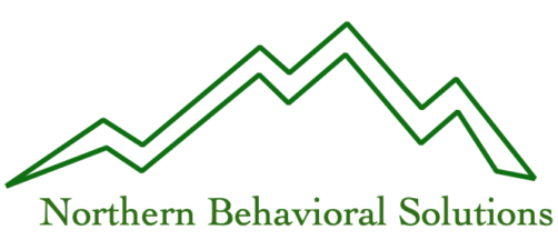 Northern Behavioral Solutions logo Northern Behavioral Solutions