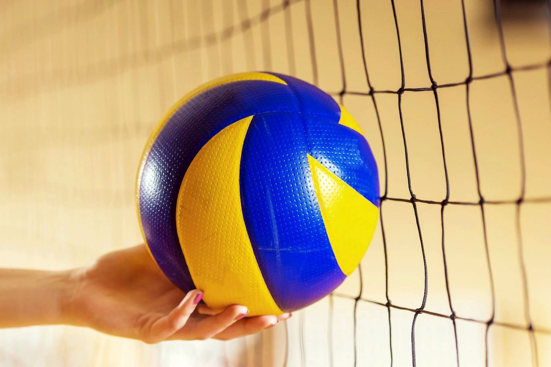 Mano che tiene un pallone da pallavolo blu e giallo vicino alla rete