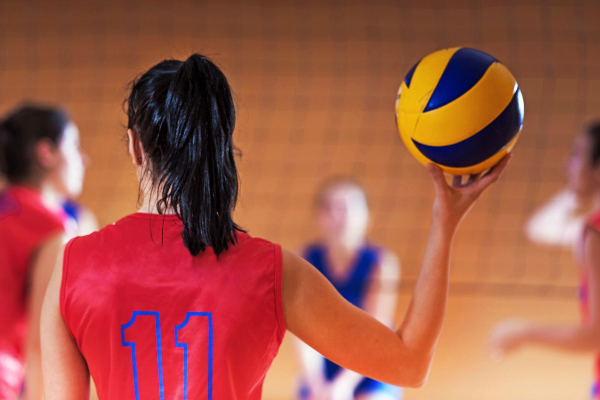 UNDER 16 Volley a Novara