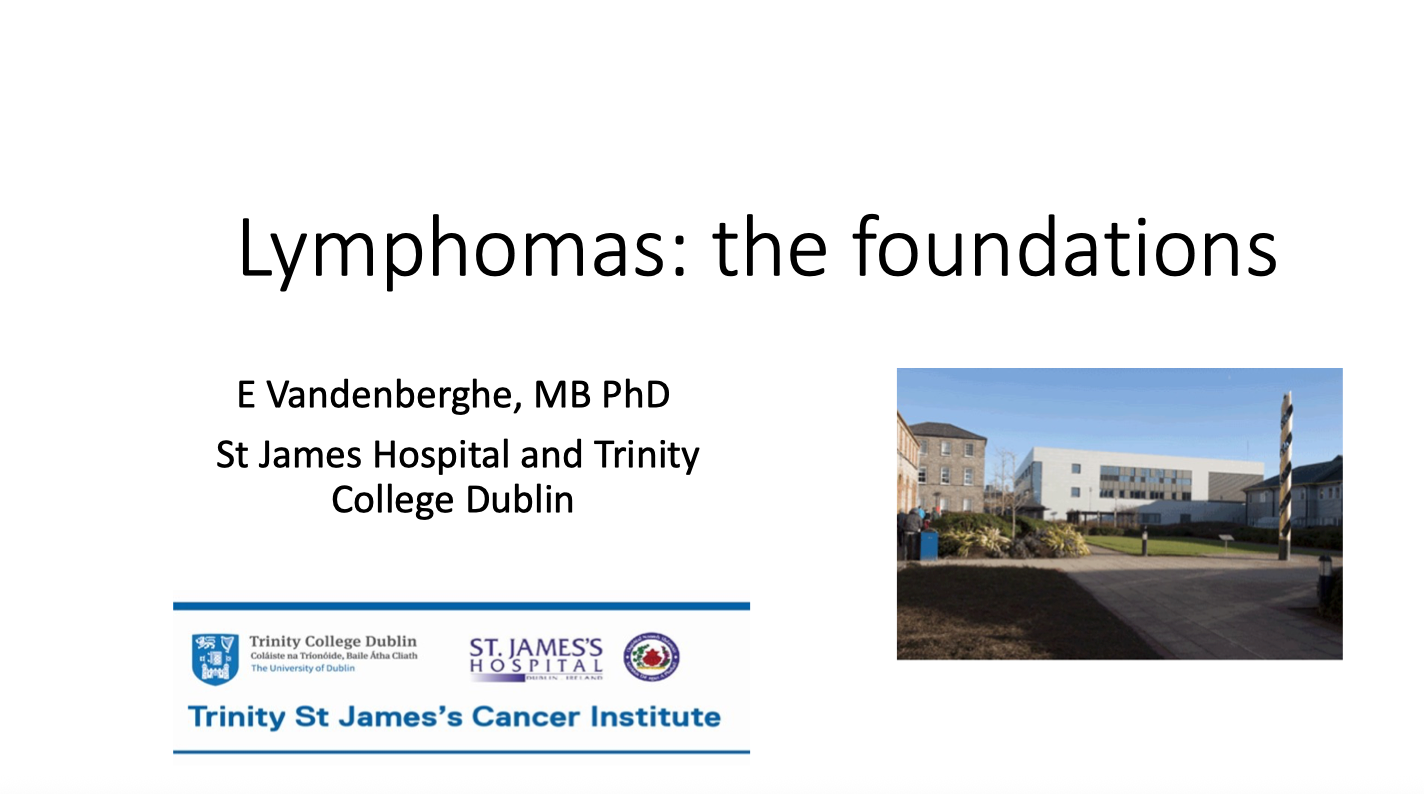 A poster that says lymphomas the foundations on it