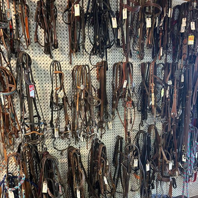 Wall display of assorted bridles and horse tack hanging on hooks in a shop.