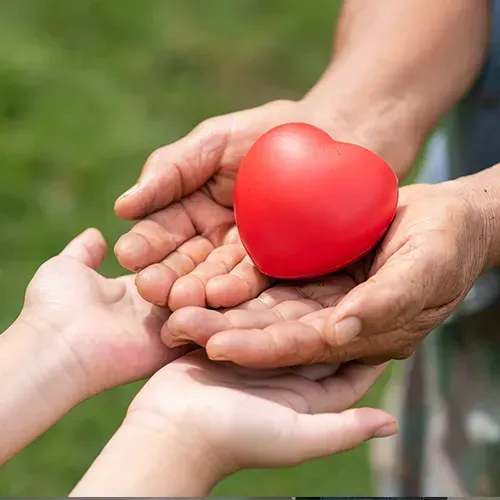 Two hands passing a red heart, symbolizing care or donation. Green background.