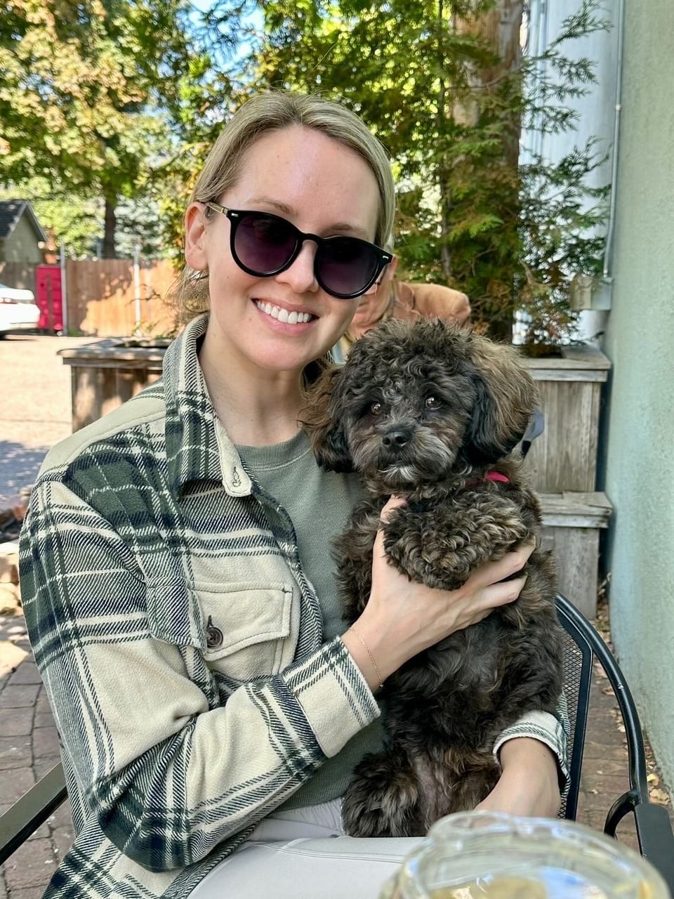 shihpoo puppies for sale, shihpoo puppies, shihpoo breeder, shihpoo puppy. shihtzu poodle mix, poodle shihtzu, shihpoo, shih poo, shih poo puppies for sale, puppies for sale, shihpoo puppies for sale near me, teddy bear puppies for sale, teddybear puppies for sale, teddybear puppies, teddybear puppy, teddybear puppy breeder, designer puppies for sale, small puppies for sale, hypoallergenic puppies, nonshedding puppies, healthy puppies