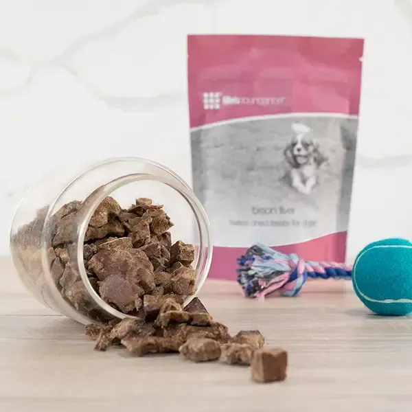 healthy treats for small puppies, puppies for sale, shihpoo puppies, healthy dog treats,