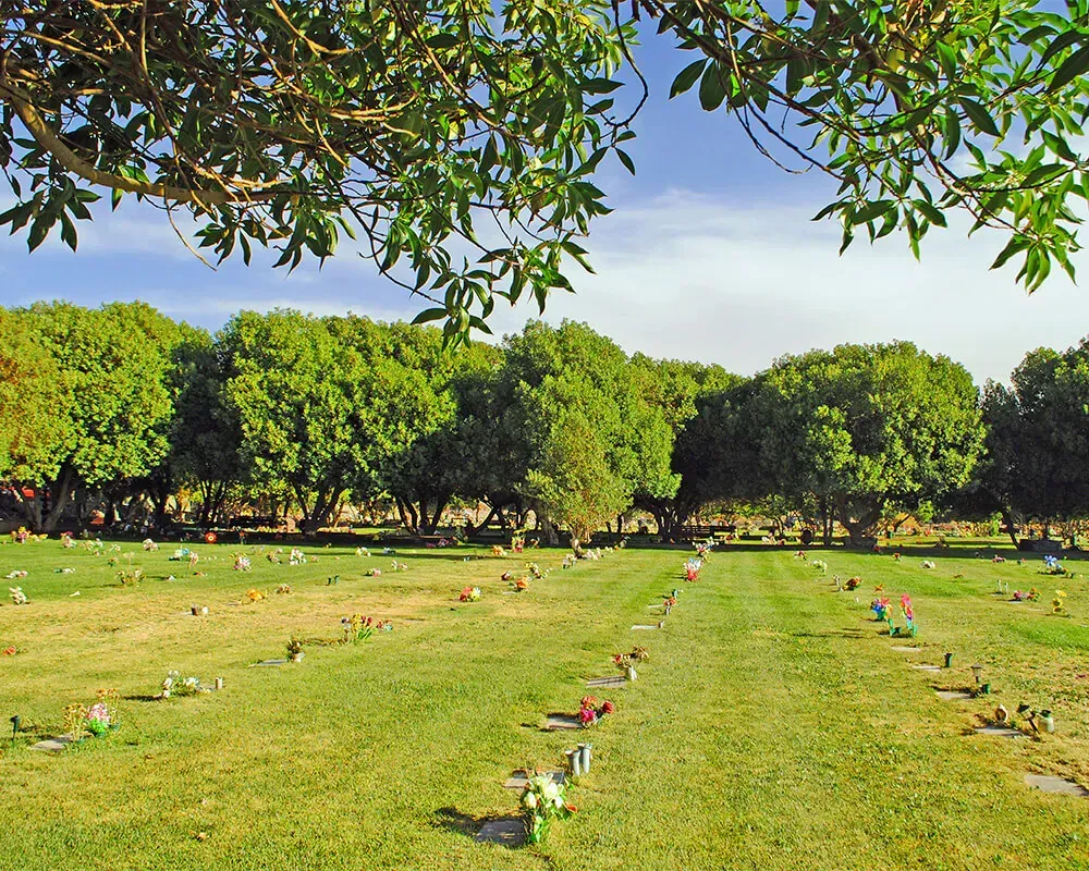 Cementerio con hileras de lápidas sobre césped verde, árboles al fondo y cielo azul.