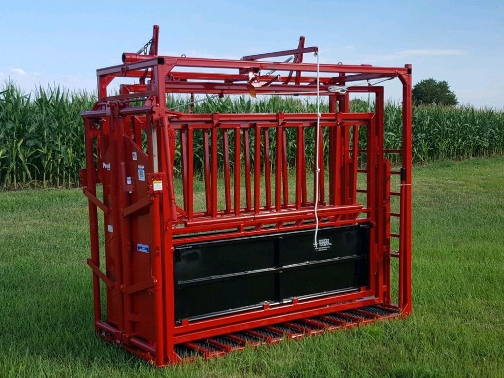 Working Cattle Chute