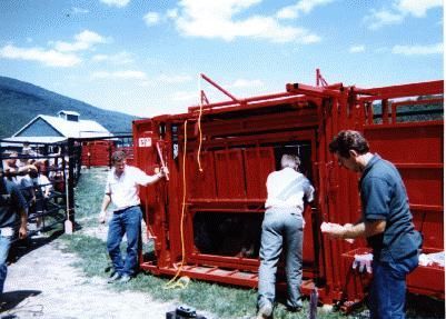 Bison Equipment
