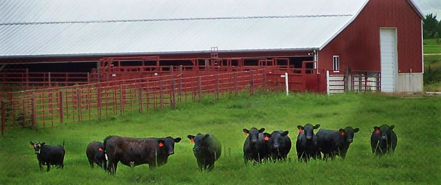 OK Corral
Portable Corral
Cattle Chute
Livestock Chute
Hydraulic Chute
Portable Tub and Alley
Hay Feeder
Cattle Feeder
Layover Chute
Tilt Chute
Livestock Equipment