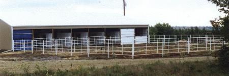 Horse Stalls