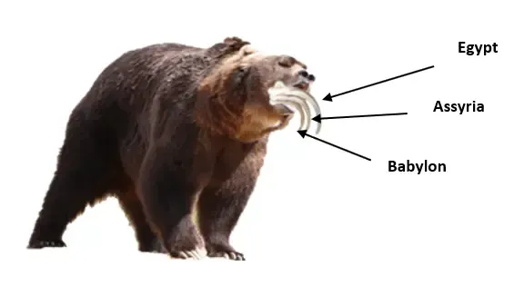 A brown bear with three large fangs labeled