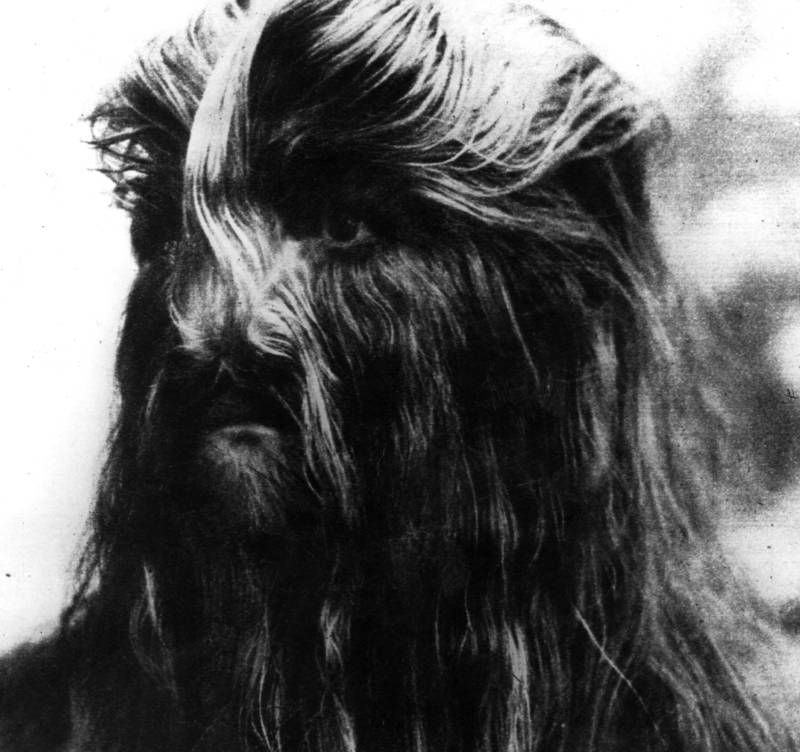 Chewbacca, the Wookiee, with dark fur, looking slightly down.