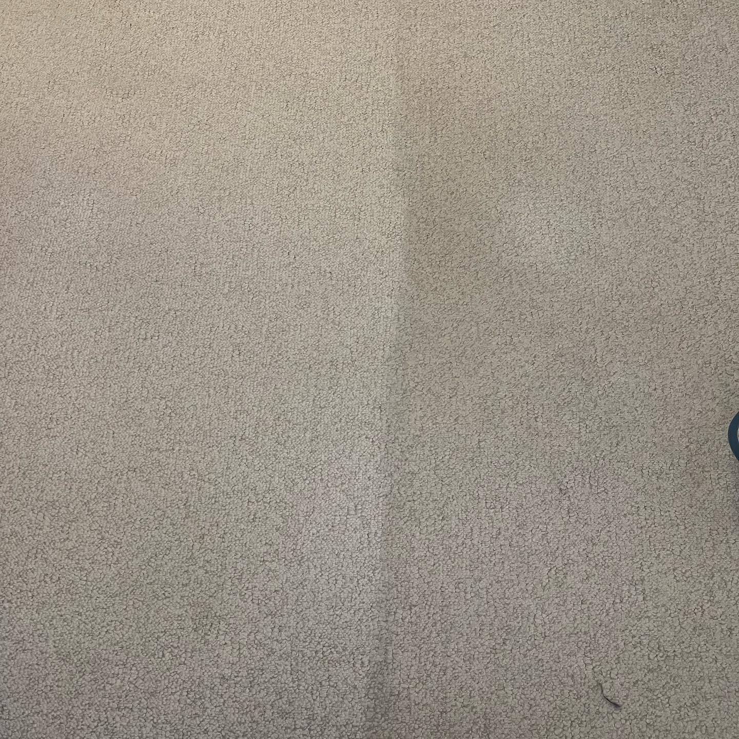 A close up of a carpet with a stain on it.