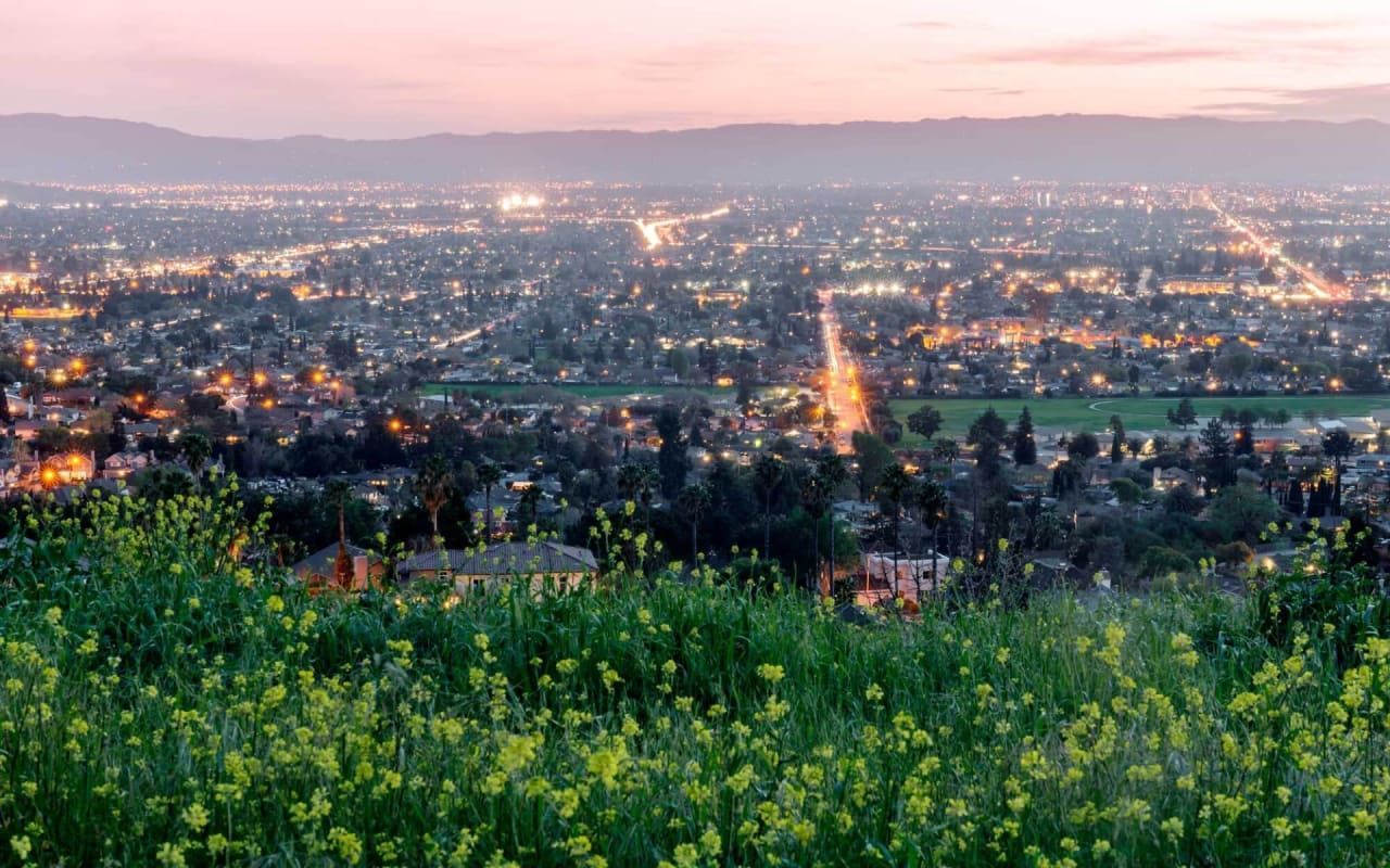 Blossom Valley