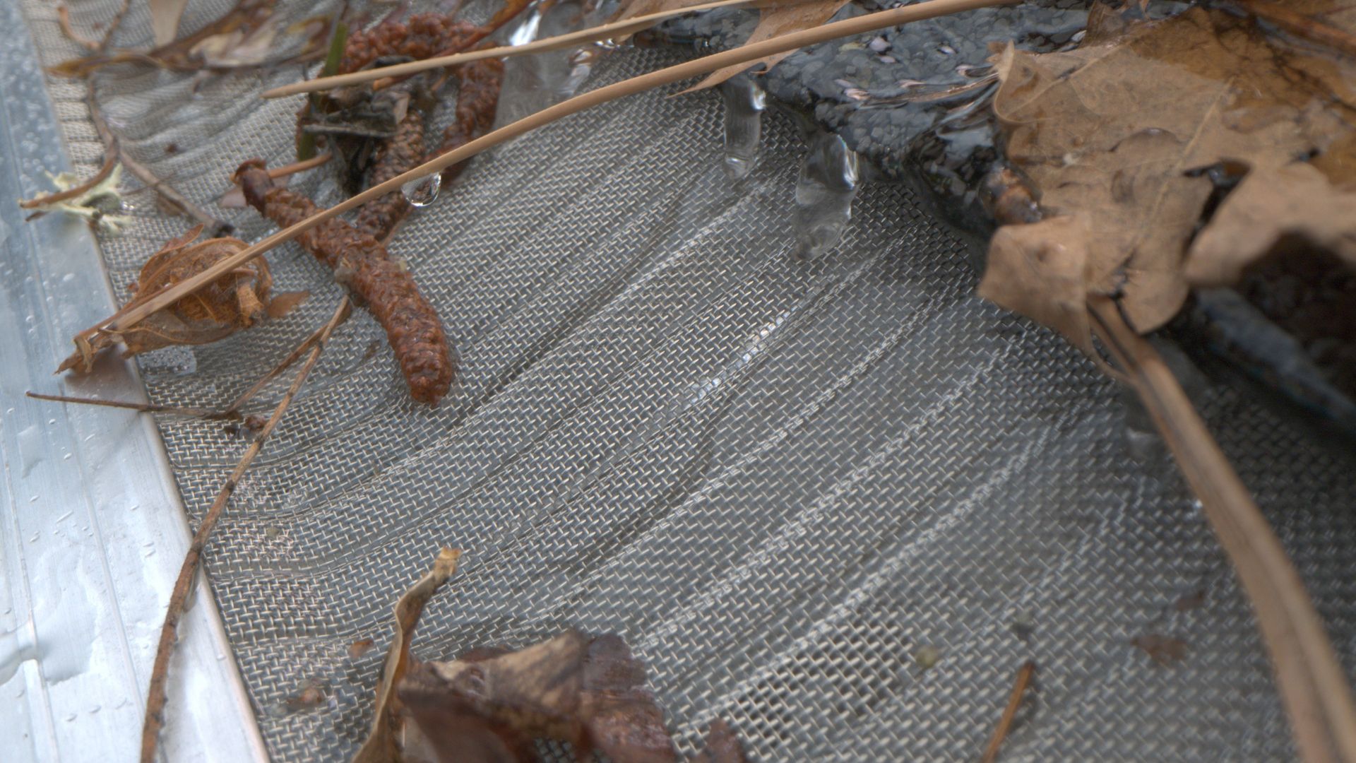 A close up of a metal surface with leaves on it.