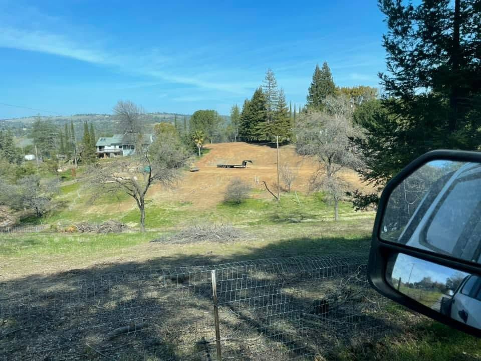 Rural hillside with trees and dry grass under a blue sky, seen from inside a car with side mirror visible