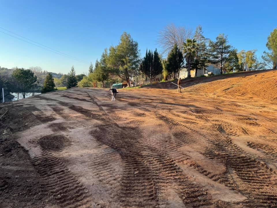 Dirt hillside trail under a blue sky, with a cyclist riding in the distance and trees along the edge