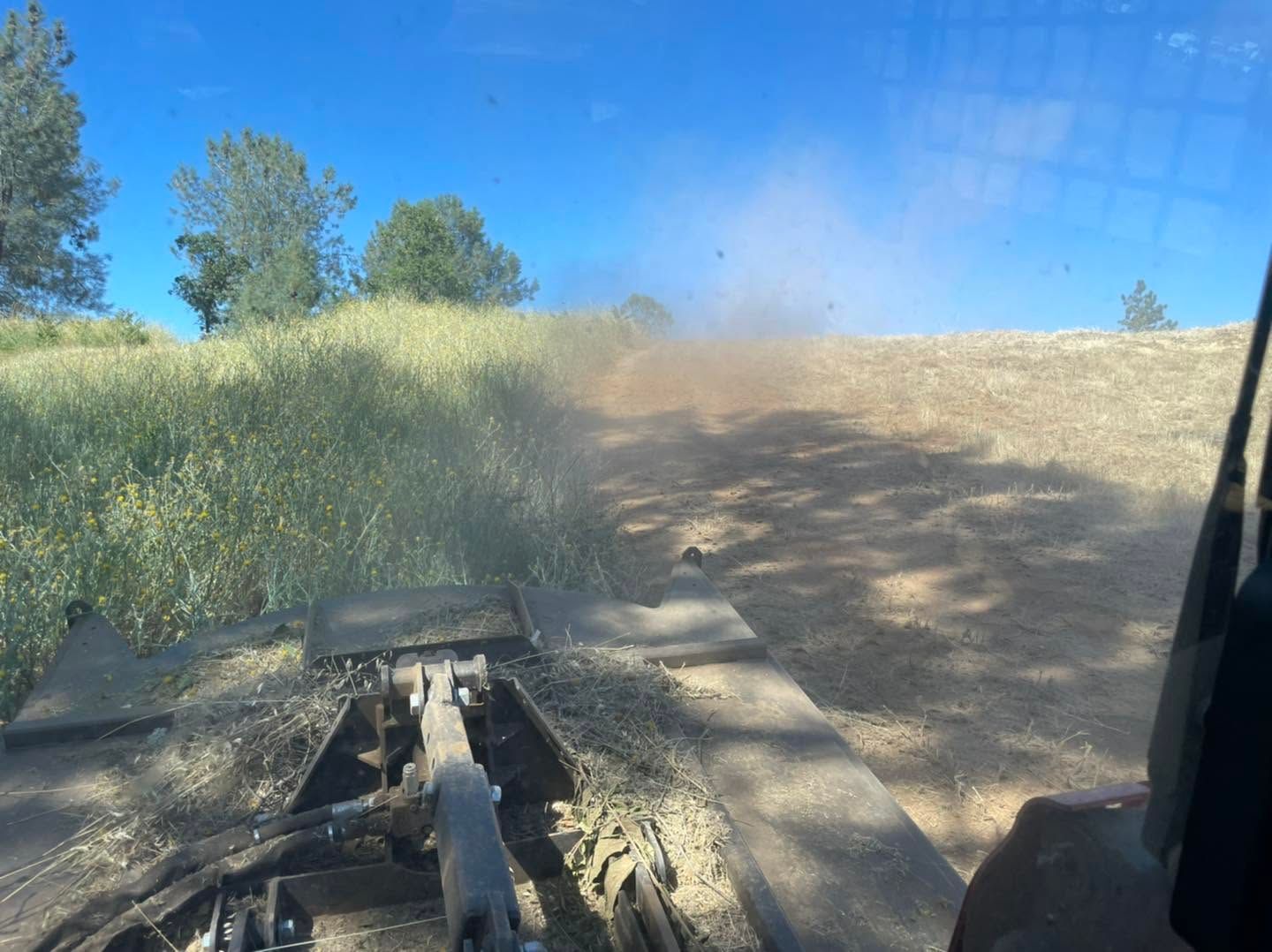 View from a vehicle driving on a dusty dirt trail beside green trees under a blue sky
