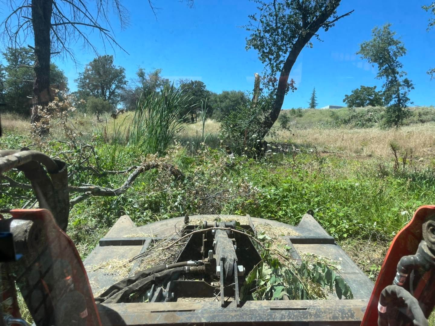 View from a tractor over a grassy field with trees and blue sky