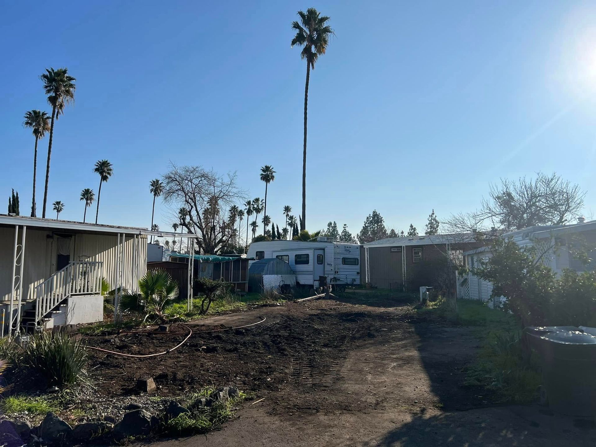 Dirt yard between mobile homes with tall palm trees under a bright blue sky