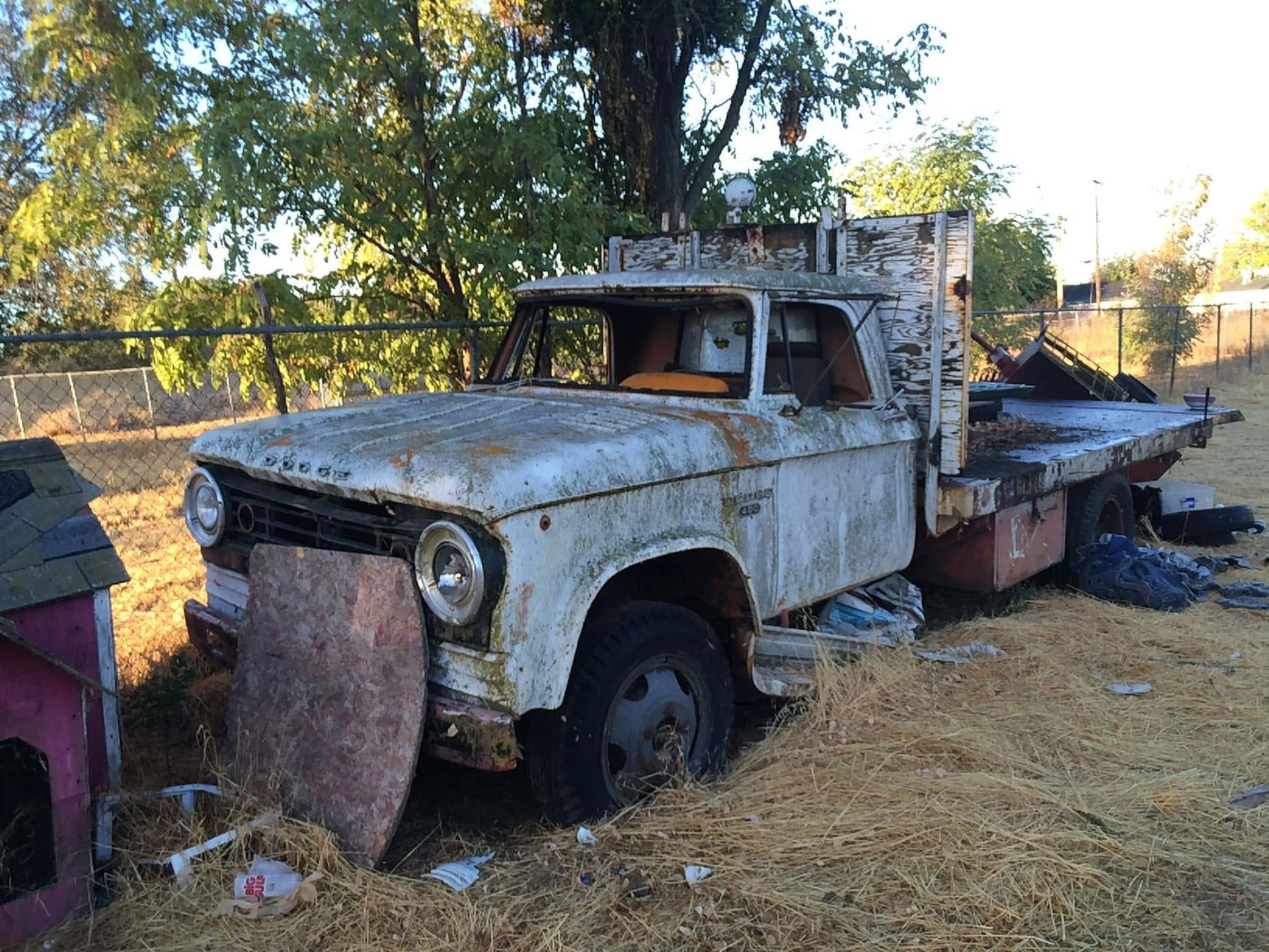 Old rusty flatbed truck in a dry yard with straw and trees in the background