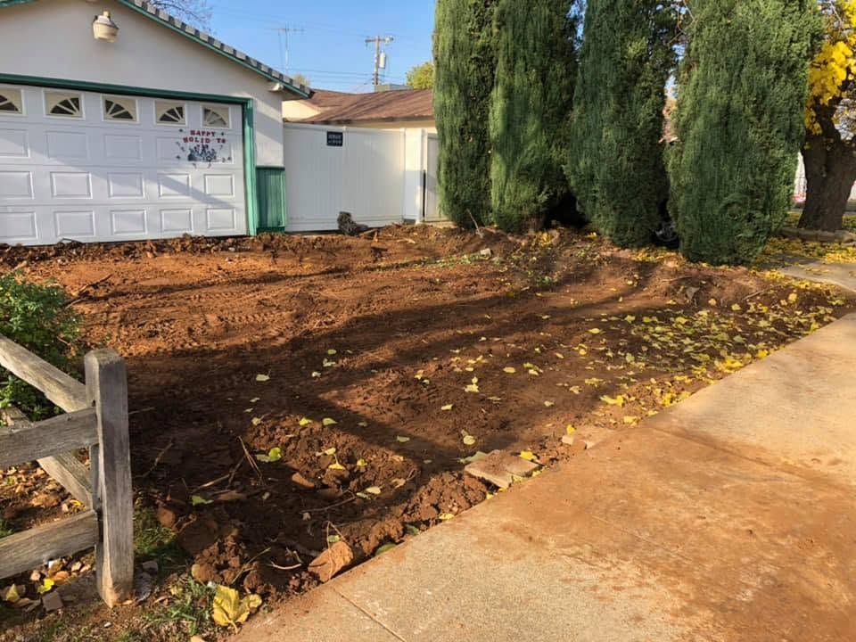 Front yard with freshly cleared dirt and mulch beside a driveway, garage, and tall cypress trees