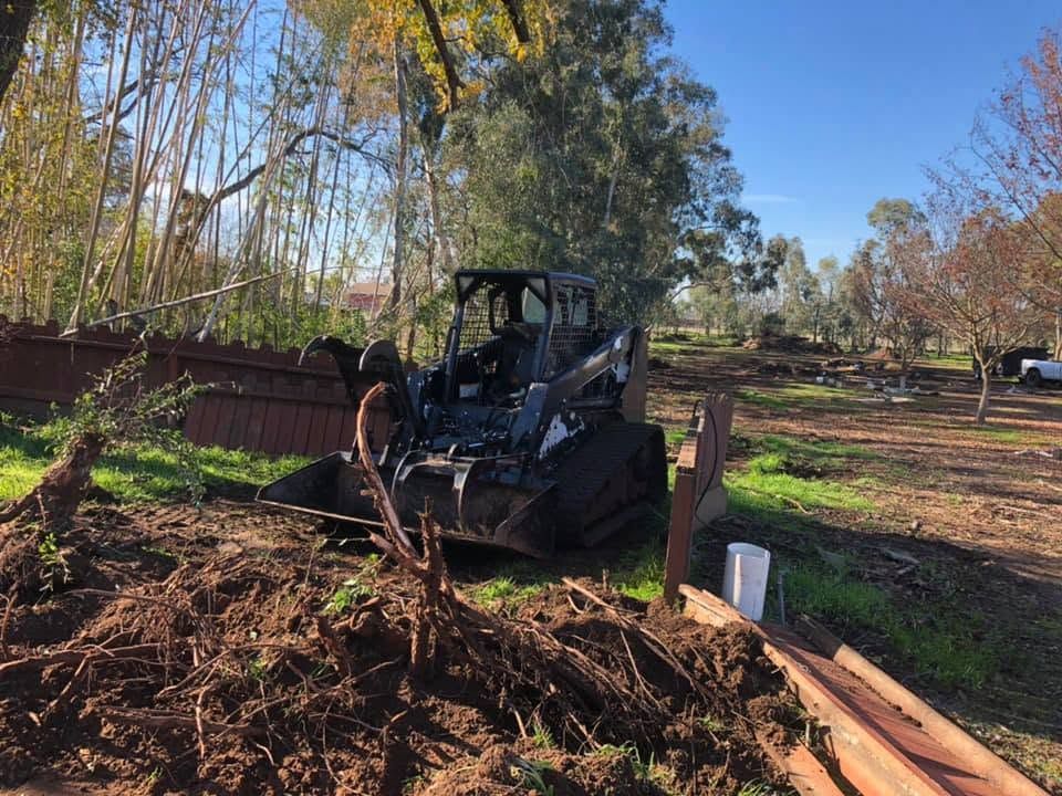 Skid steer clearing brush beside a fence in a wooded yard on a sunny day