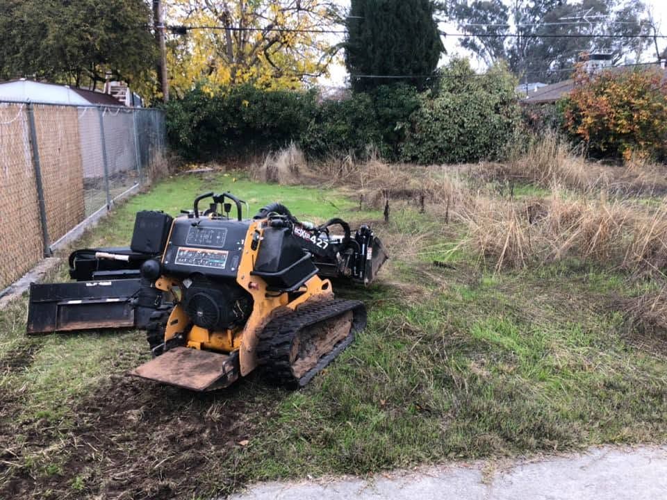 Yellow tracked excavator in a grassy backyard beside a fence and overgrown brush.