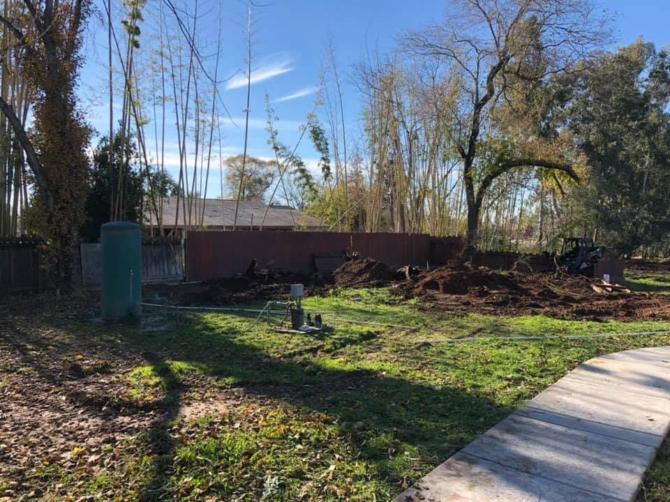 Backyard with grass, trees, a concrete path, and piles of brush near a brick wall