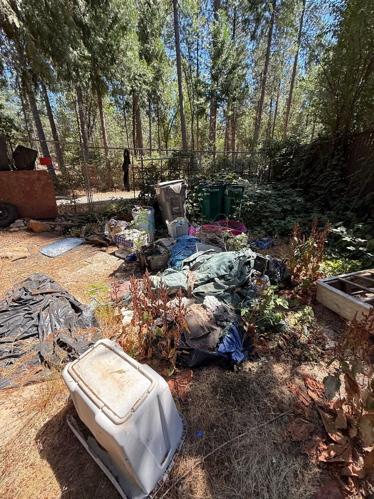 Messy wooded yard with scattered trash, plastic bins, and debris among trees and leaves