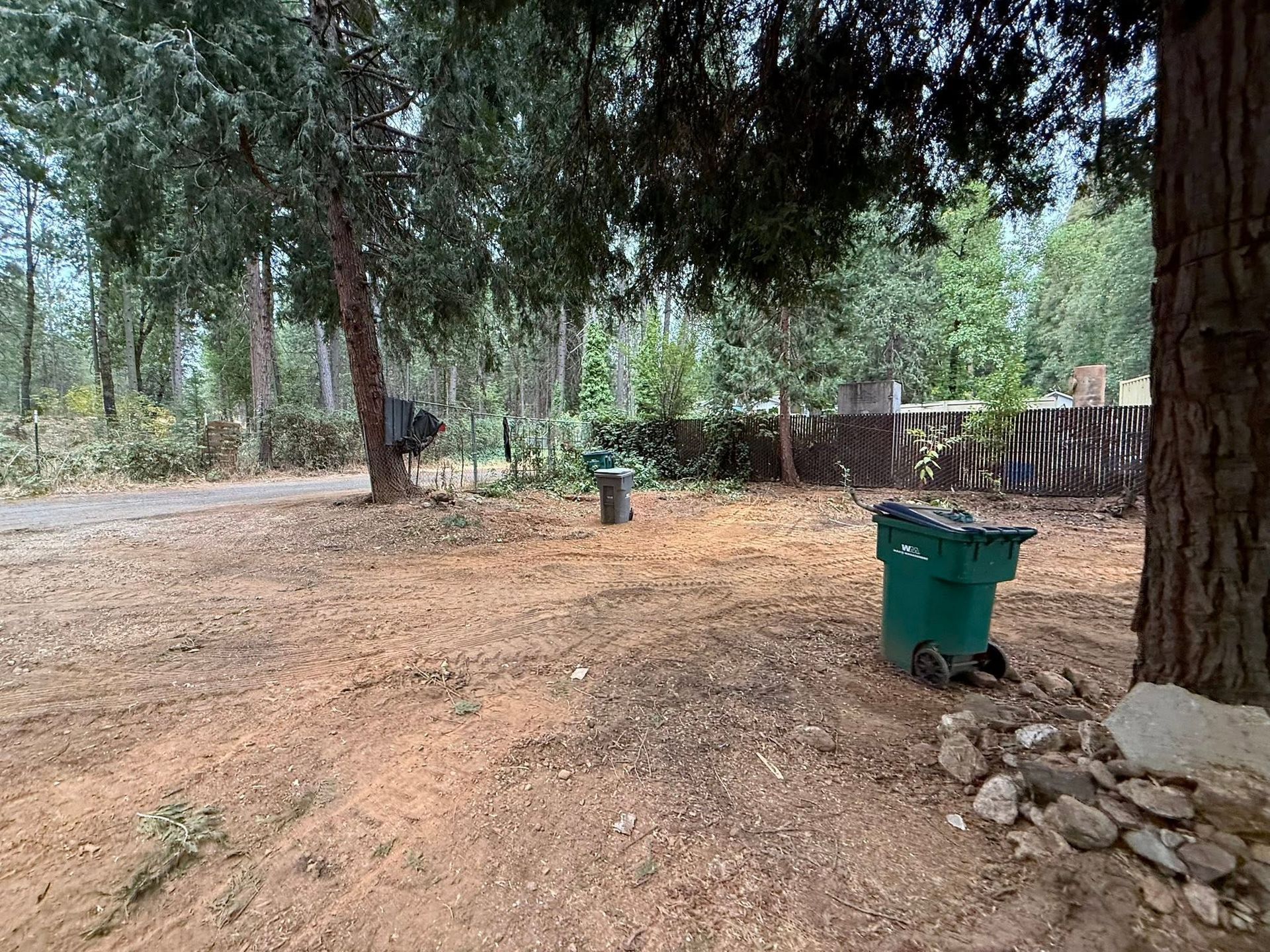 Dirt path under trees with a green trash bin and rocks beside a large tree trunk