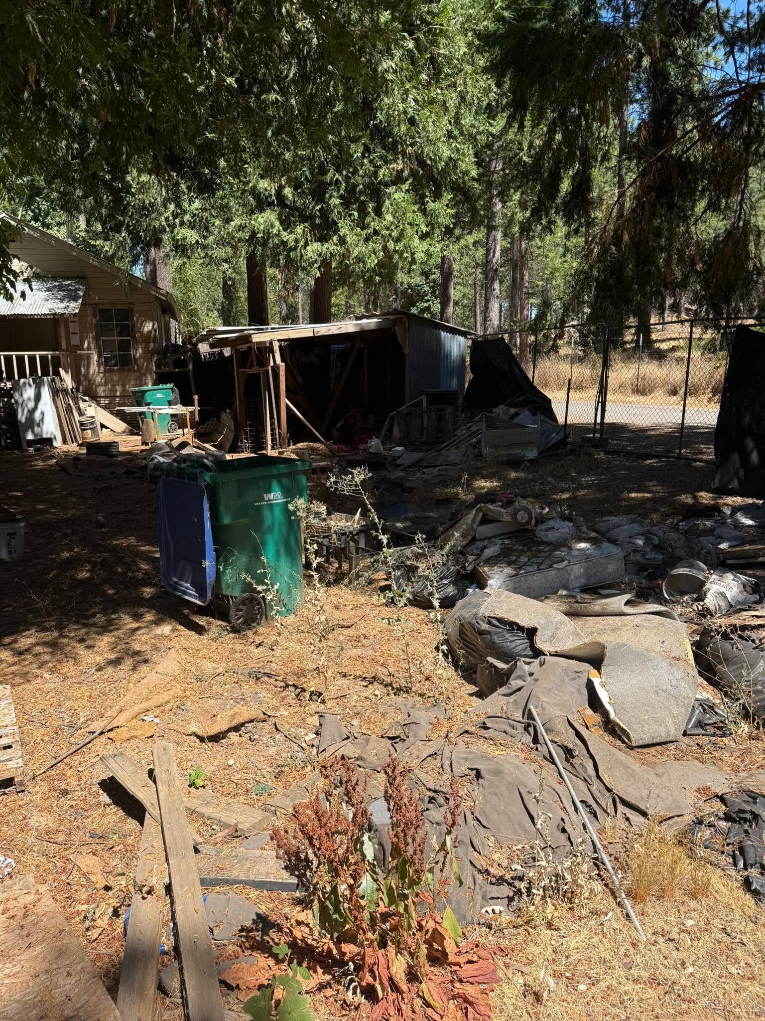 Scattered debris, trash bins, and a small shed under trees in a dry outdoor yard.