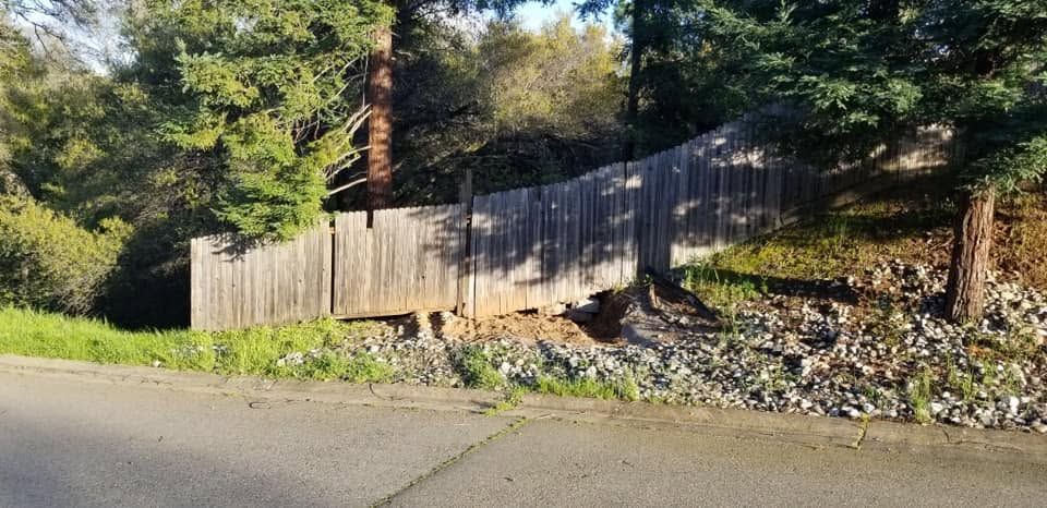 Wooden fence along a roadside beside a rocky embankment and pine trees in sunlight.