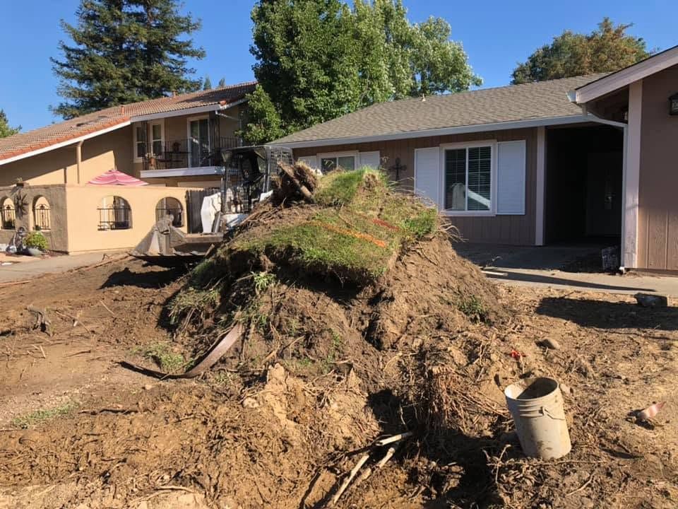 Large dirt mound with exposed tree roots in a residential yard, between two houses, with a bucket nearby