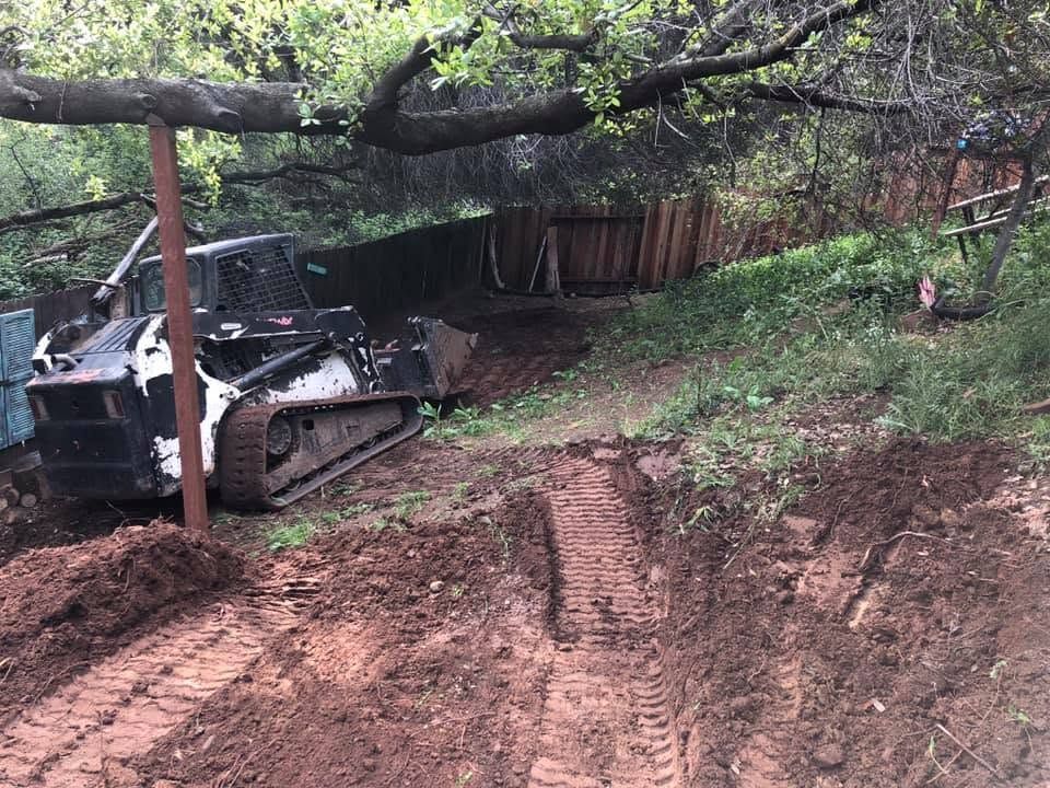 Damaged car stuck on a muddy slope beneath a low tree branch in a wooded yard.