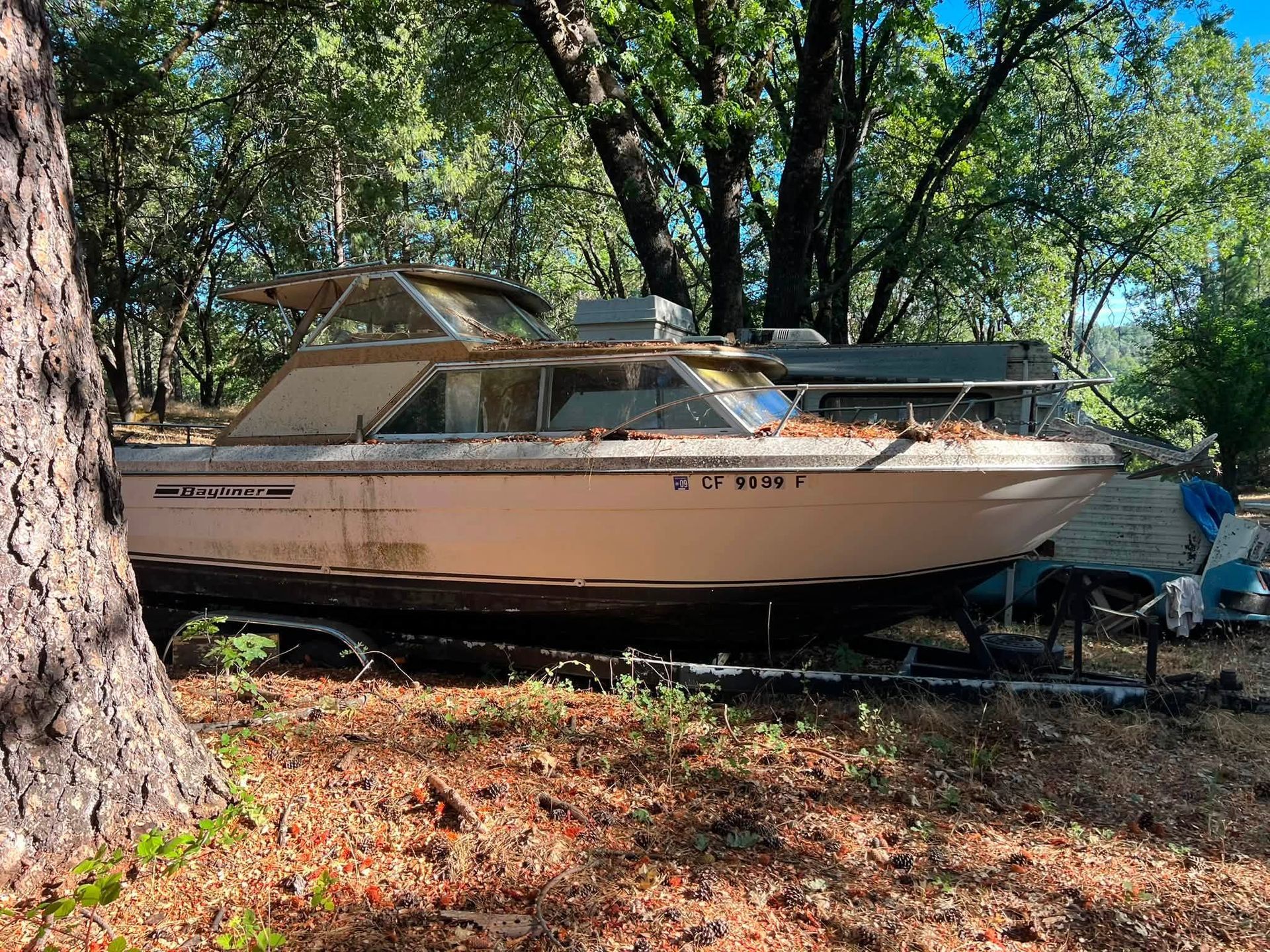 Beige motorboat on a trailer in a wooded area, with a large tree in the foreground.