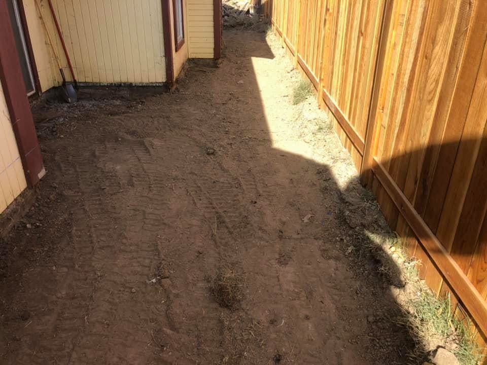 Narrow dirt path between tan and wooden fences, with sunlight and shadows on the ground