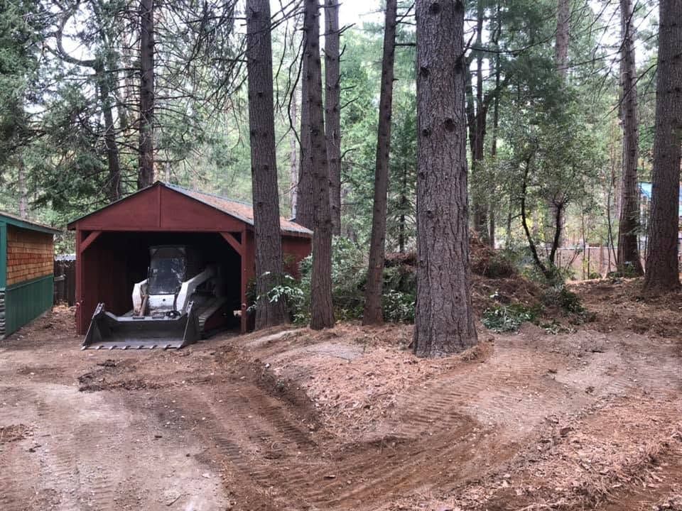 Small red shed in a pine forest with a car parked inside and a dirt path leading up to it