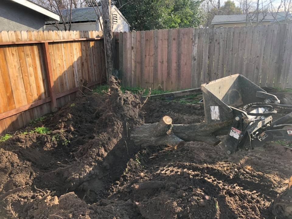 Backyard with a large dug trench, soil piles, a tree stump, and a wheelbarrow near a wooden fence.