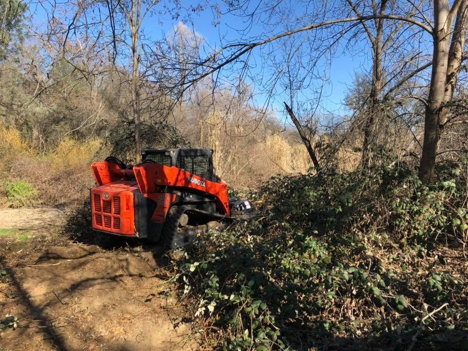 Orange utility vehicle clearing brush on a wooded dirt trail in winter