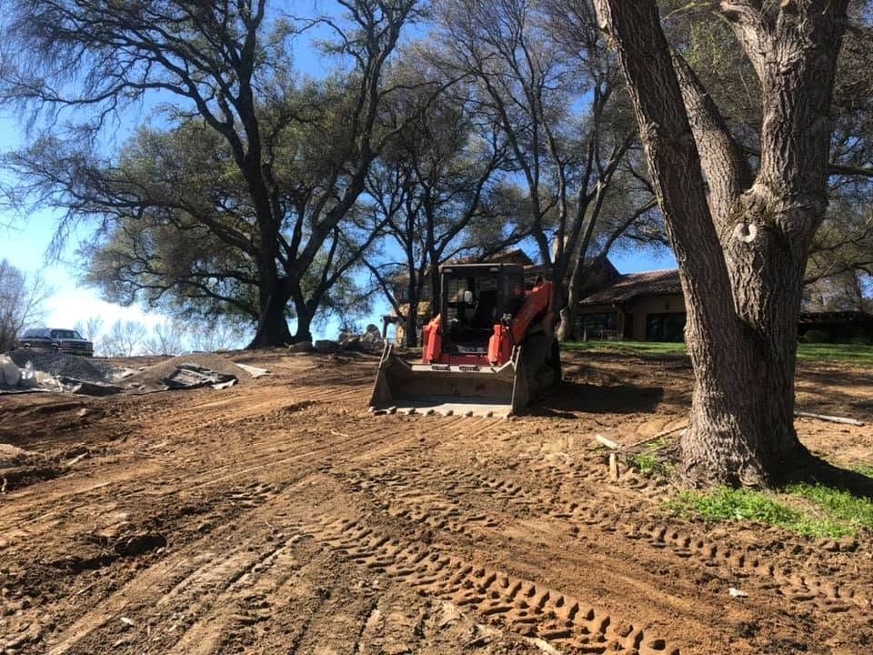 Front loader grading a dirt driveway beneath large trees on a sunny day
