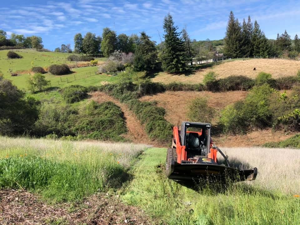 Orange tractor mowing grass on a sunny hillside meadow with trees and shrubs