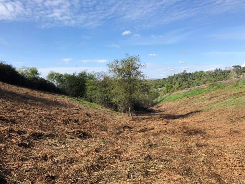 Dry grassy hillside with a shallow ravine, scattered shrubs, and a blue sky overhead