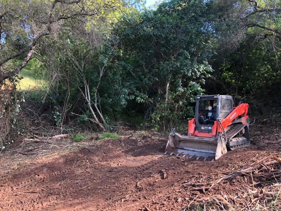Red skid steer clearing brush and dirt in a wooded area.