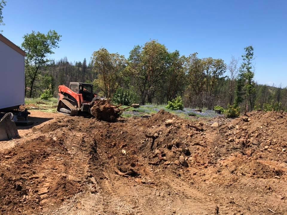Orange skid-steer moving dirt on a construction site with trees and a clear blue sky
