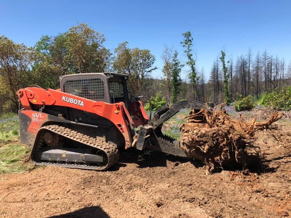 Orange skid steer pushing a large tree root ball on a dirt clearing with scorched trees in the background