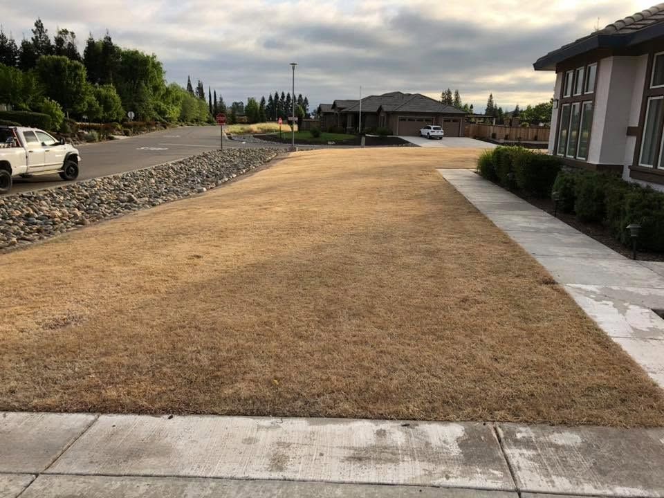 Gravel driveway beside a dry lawn, with a house on the right and parked cars in the distance.